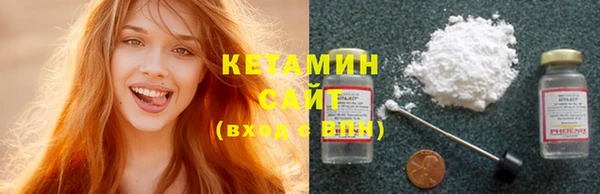 крисы Каменка