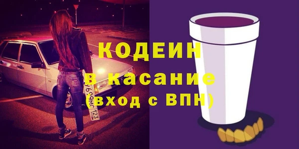 крисы Каменка