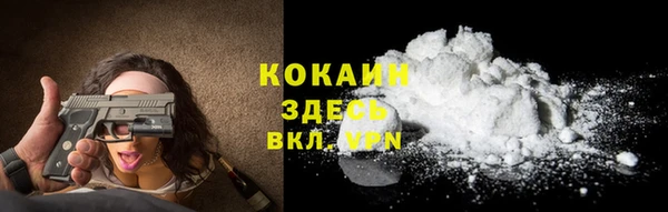 ешки Инта