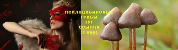 спайс Иннополис