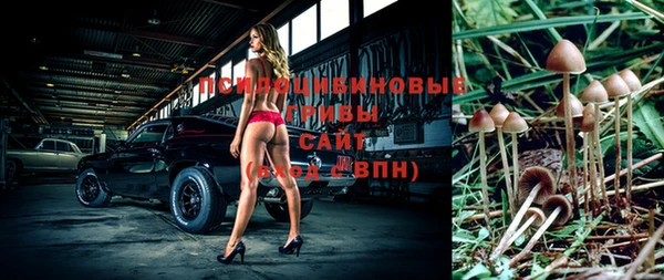 jwh Инсар