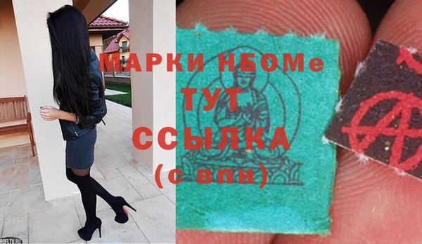 крисы Каменка