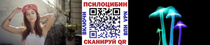 Купить  Далматово  Псилоцибиновые грибы Magic Shrooms 